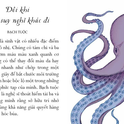 Sống Một Đời Tựa Biển Khơi - Những Bài Học Trí Tuệ Nhẹ Nhàng Sâu Lắng Của Đại Dương