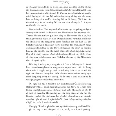 Cây Brooklyn Xanh Biếc