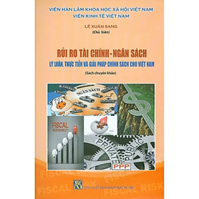 Sách - Rủi Ro Tài Chính - Ngân Sách: Lý Luận, Thực Tiễn Và Giải Pháp Chính Sách Cho Việt Nam