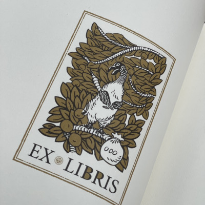 TỘI ÁC CỦA SYLVESTRE BONNARD và ĐẢO CHIM CÁNH CỤT - TỦ SÁCH TRĂM NĂM NOBEL  - ĐÔNG A - BÌA VẢI -