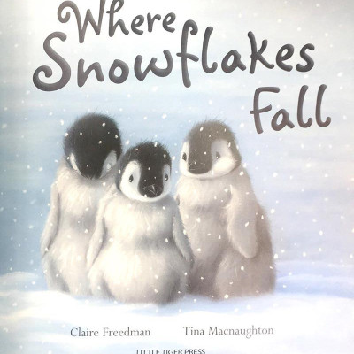 Where Snowflakes Fall