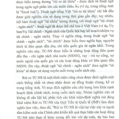 Rủi Ro Tài Chính - Ngân Sách: Lý Luận, Thực Tiễn Và Giải Pháp Chính Sách Cho Việt Nam