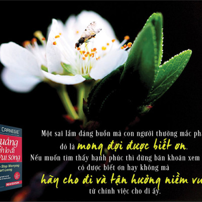 Quẳng Gánh Lo Đi Và Vui Sống (Tái Bản 2016)