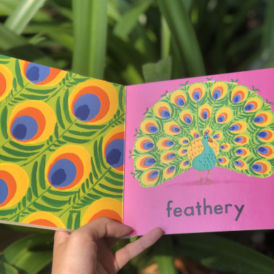 Campbell Animals (Series A Bumpy Book)