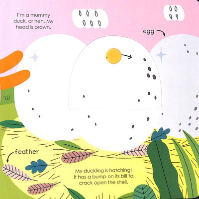 Duck (My Little Green World 6)