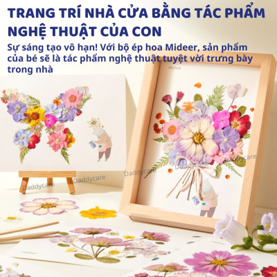 Bộ ép hoa khô, khung làm hoa khô trang trí dụng cụ handmade Mideer Nature Art Discovery Collection