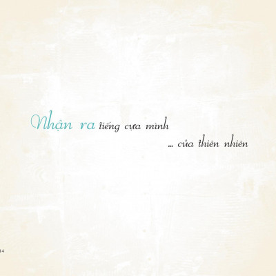 Đi Vào Thực Tại - Thức Tỉnh Tâm Linh Qua Câu Chuyện Của Chó Mèo