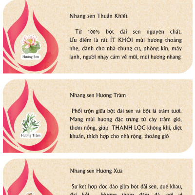 Nhang Sen Hương Xưa Liên Tâm 20.5cm 160 cây - Ít khói, 100% Từ Quế Hồi thiên nhiên