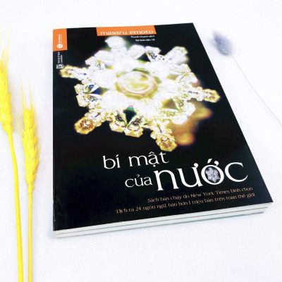 Sách - Bí Mật Của Nước (Tái Bản)