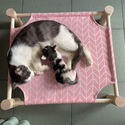  Giường Nằm Cho Thú Cưng <12kg