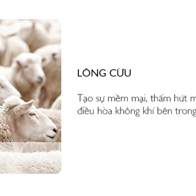 Nệm Bern 1.6m Jang In 1301700001-02