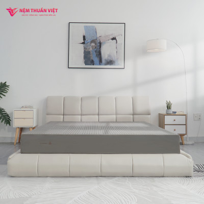 Nệm cao su thiên nhiên hoạt tính Thuần Việt President - Đầy đủ kích thước - Nệm cao cấp, nâng đỡ tuyệt vời