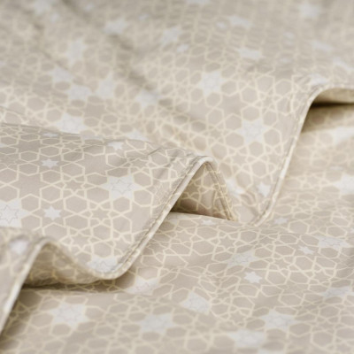 Bộ ga gối EVERON Micro Modal họa tiết cách điệu LASTAR OL2306 nhiều kích thước