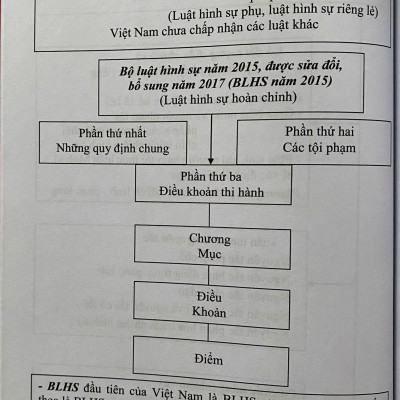 Mô Hình Luật Hình Sự Việt Nam