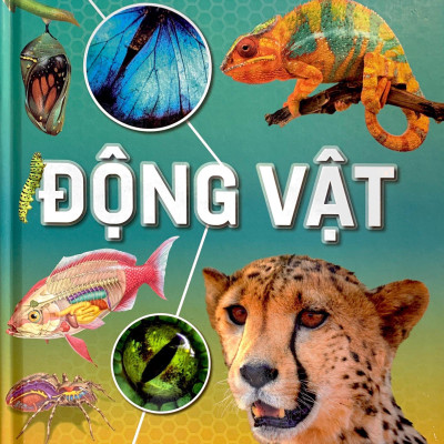 Hành Trình Khám Phá - Động Vật - Bìa Cứng