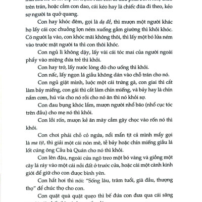 Việt Nam Phong Tục