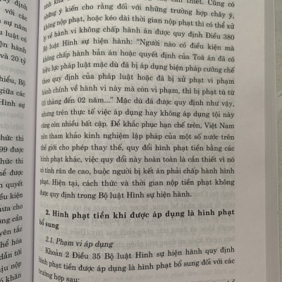 Hình Phạt Tiền Trong Pháp Luật Hình Sự Việt Nam Và Thực Tiễn Áp Dụng (Sách Chuyên Khảo)