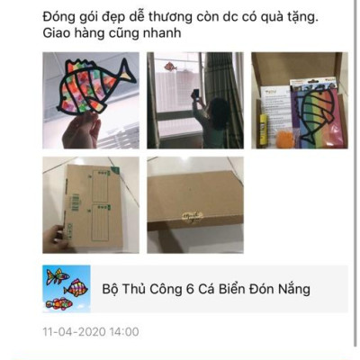 Bộ Thủ Công Đón Nắng Set 6 Bông Hoa