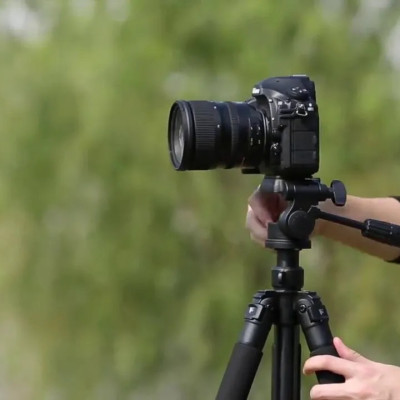 Weifeng WF-6663A - Chân Máy Ảnh Tripod- Hàng chính hãng