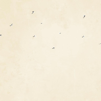 Đi Vào Thực Tại - Thức Tỉnh Tâm Linh Qua Câu Chuyện Của Chó Mèo