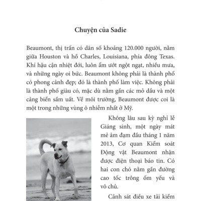 Nghĩ Như Một Chú Chó - Loài Chó Dạy Ta Sống Hạnh Phúc Và Thành Công