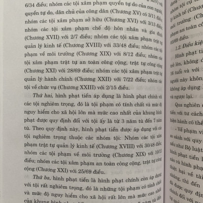 Hình Phạt Tiền Trong Pháp Luật Hình Sự Việt Nam Và Thực Tiễn Áp Dụng (Sách Chuyên Khảo)