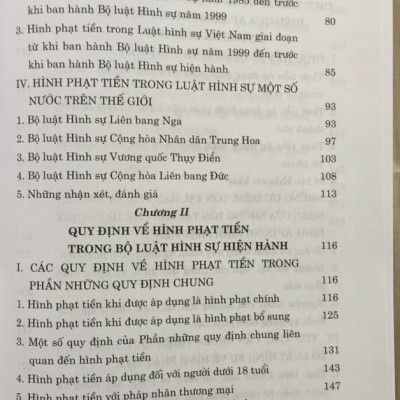 Hình Phạt Tiền Trong Pháp Luật Hình Sự Việt Nam Và Thực Tiễn Áp Dụng (Sách Chuyên Khảo)