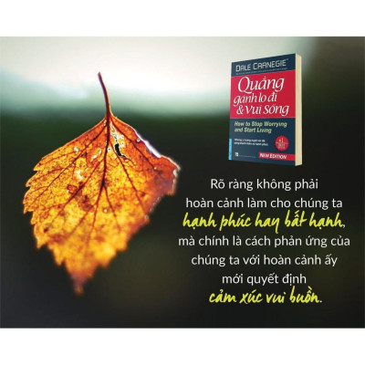 Quẳng Gánh Lo Đi Và Vui Sống (Bìa Cứng) - Dale Carnegie