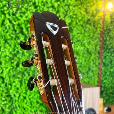 Đàn Guitar Classic Custom (Khảm Trai Vietcombank)