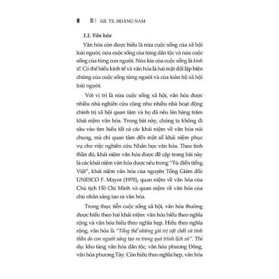 Sách - Nhân Học Văn Hóa Việt Nam - Hoàng Nam - VIETNAMBOOK