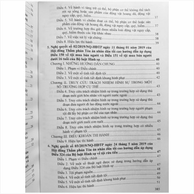 Sách Hệ Thống Các Nghị Quyết Của Hội Đồng Thẩm Phán Tòa Án Nhân Dân Tối Cao về Hình Sự, Tố Tụng Hình Sự (V2460T)