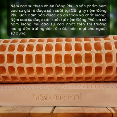 Nệm Cao Su Thiên Nhiên Đồng Phú Friendly-Bảo hành 10 năm - Êm ái- Đàn hồi.