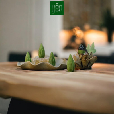 Nhang Nụ Thảo Mộc Mix Quế Khuynh Diệp Hương Bài Sạch Ít Khói Hộp 40 Nụ Yên Tự Nhiên Không Hóa Chất