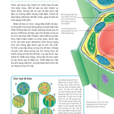Hành Trình Khám Phá - Thực Vật - Bìa Cứng
