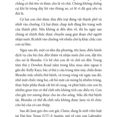 Nghĩ Như Một Chú Chó - Loài Chó Dạy Ta Sống Hạnh Phúc Và Thành Công