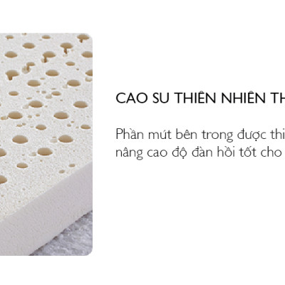 Nệm Bern 1.8m Jang In 1301700001-01