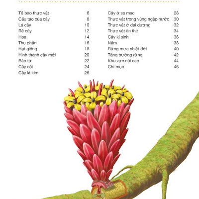 Hành Trình Khám Phá - Thực Vật - Bìa Cứng