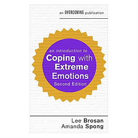 An Introduction To Coping With Extreme Emotions 