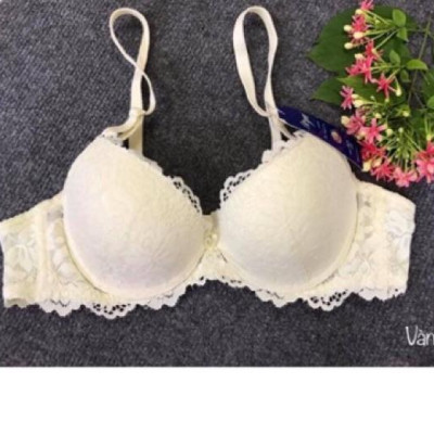 ÁO NGỰC REN MÚT ÉP VỪA-029L