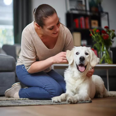 Máy hút bụi không túi PowerPro Compact thương hiệu Hà Lan Philips FC9351/82 1600W - Hàng chính hãng (BH 2 NĂM)