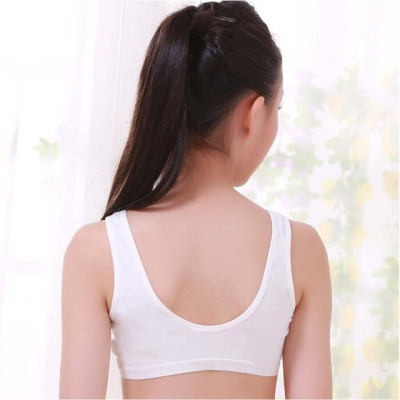  Áo lót, áo bra học sinh (có kèm mút)