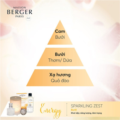 Maison Berger - Bộ kẹp tinh dầu xe hơi Aroma Energy  - 2 món