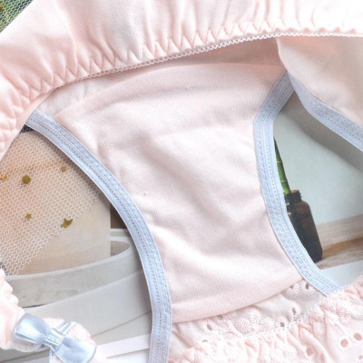 Quần Lót Cotton Retro Eo Giữa Hoạ Tiết Thêu Tinh Tế Hàng Cao Cấp WL82