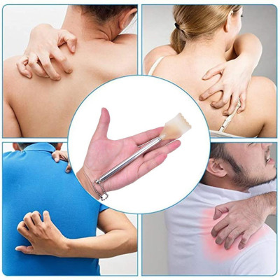 Cây Gãi Lưng INOX Kéo Dài Rút Gọn 58cm - Tay Gãi Siêu Đỉnh Bằng Nhựa Tránh Gây Đau (Xả Kho Giá Rẻ) (Màu Ngẫu Nhiên)