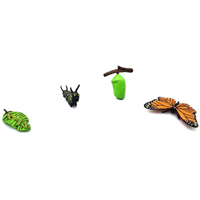 Đồ Chơi Mô Hình Vòng Đời Tự Nhiên - Bướm Lớn Lên Như Thế Nào? - Firstar DK81253