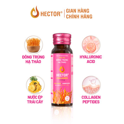 Bộ 2 hộp nước nấm Đông trùng hạ thảo Hector Sâm và Hector Collagen ( 20x50ml)