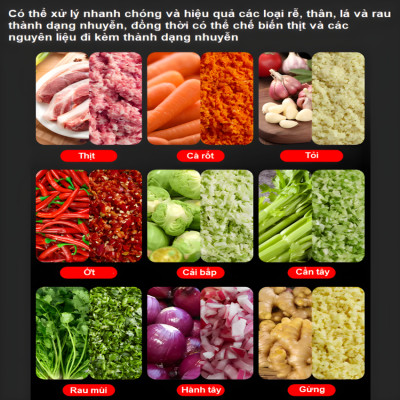 Máy băm thịt và rau củ quả tự động công nghiệp, dùng cho nhà hàng và khách sạn. Thương hiệu Mỹ cao cấp Septree - GJ805. Hàng nhập khẩu