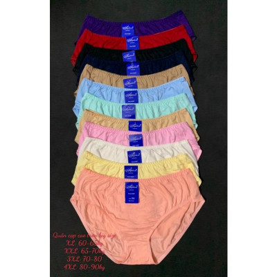 Set 05 quần lót nữ BIG SIZE Thun cotton Cạp cao Hàng Việt Nam(Từ 60kg đến 90kg)