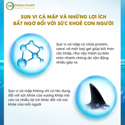 [GOLDEN HEALTH] Viên Uống Sụn Vi Cá Mập Hỗ Trợ Các Bệnh Lý Xương Khớp Mãn Tính Nguy Hiểm Như Thoái Hoá Khớp, Thoát Vị Đĩa Đệm, Loãng Xương Golden Health Blue Shark Cartilage 750mg hộp 365 Viên - Nhập Khẩu Chính Ngạch Từ Úc