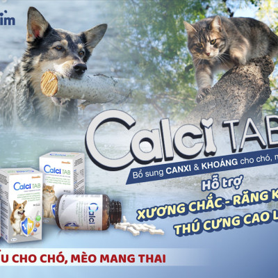 Hộp 50 viên Calci Tab Bổ Sung Canxi Cho Chó Mèo (Vemedim)